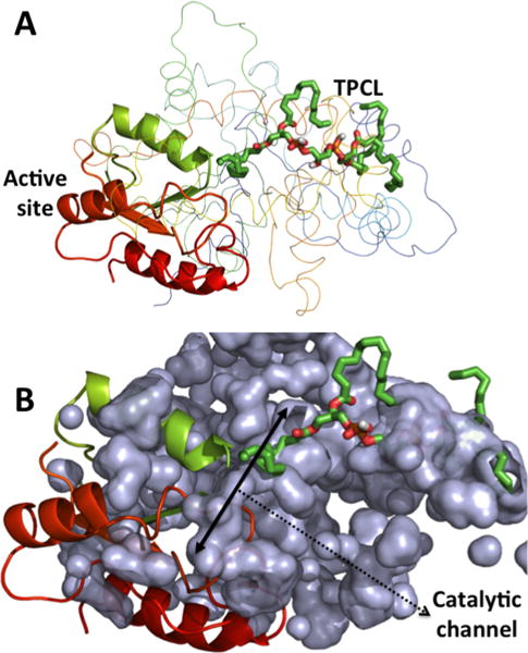 Figure 9