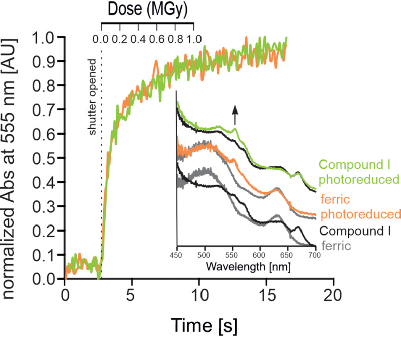 Figure 5.