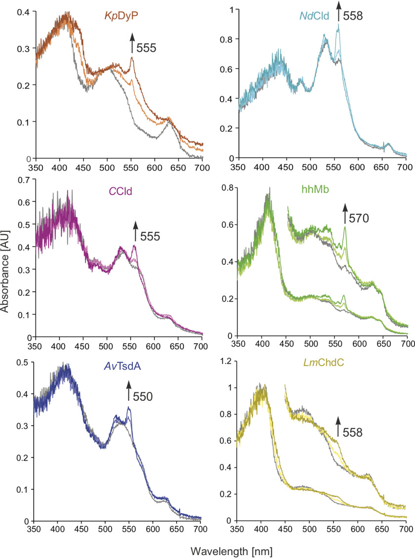 Figure 3.