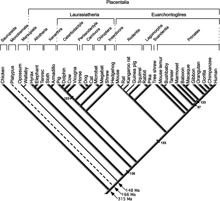 Fig. 1