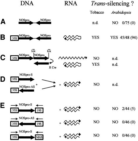 graphic file with name cdd513f1.jpg