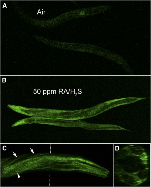 Figure 7 