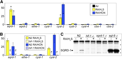 Figure 6 