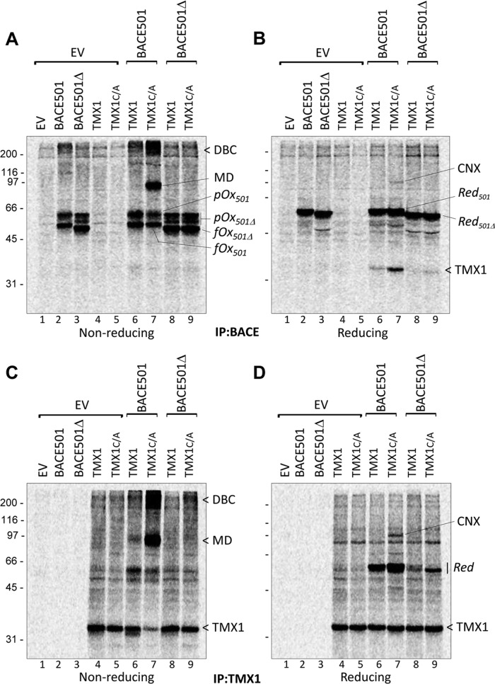 FIGURE 3: