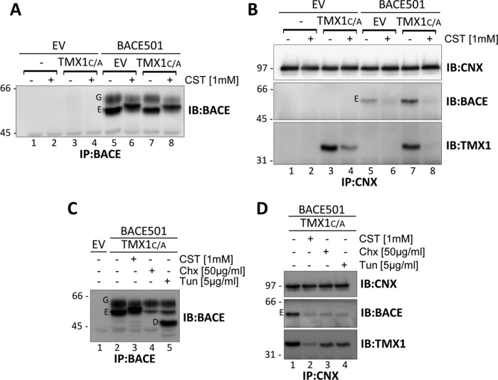 FIGURE 4: