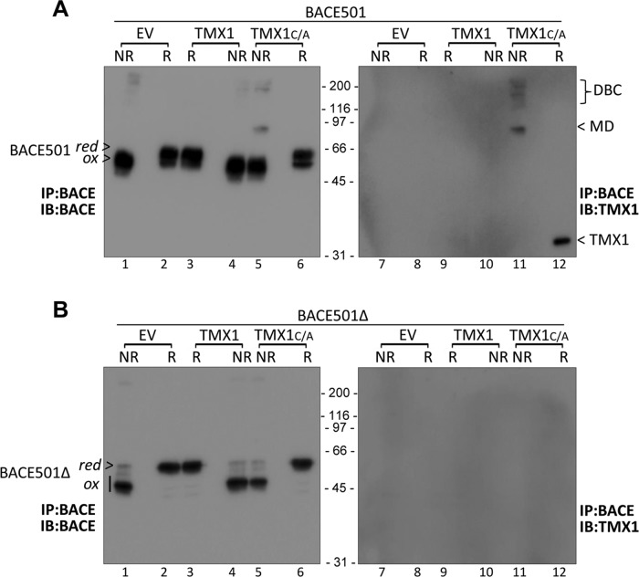 FIGURE 5: