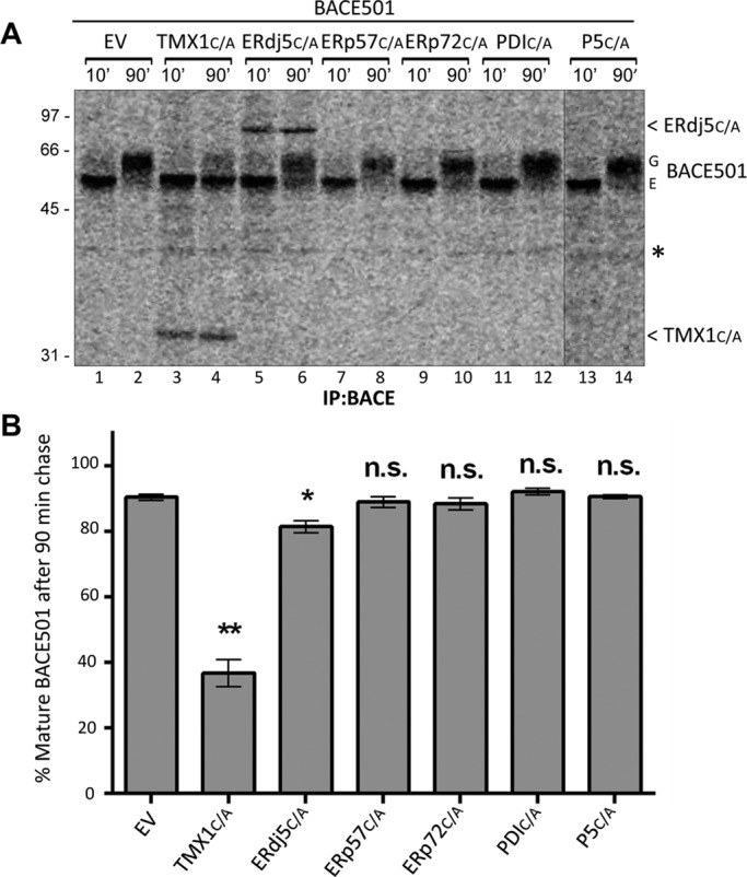 FIGURE 7: