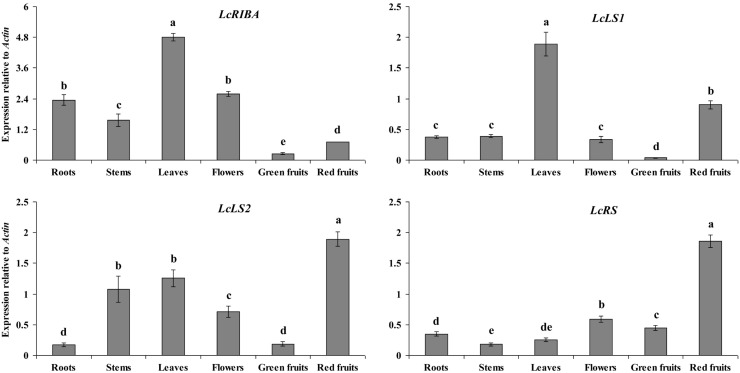 Figure 4