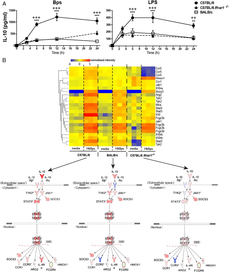 FIGURE 4.