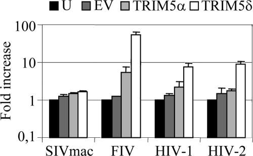 FIG. 6.