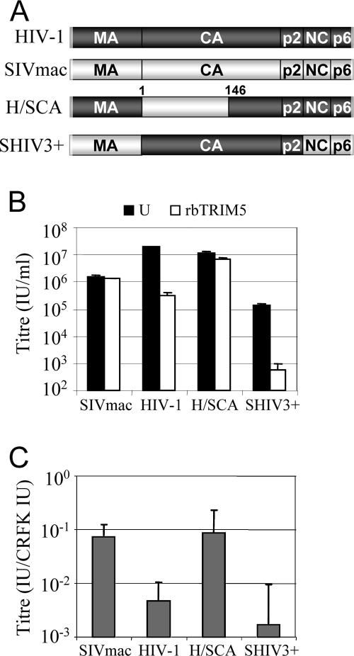 FIG. 5.