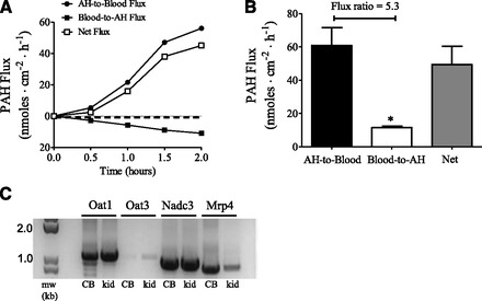 Fig. 6.