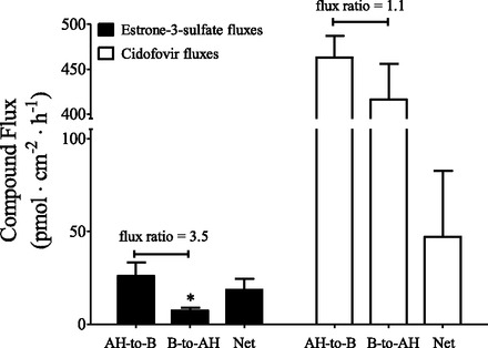 Fig. 7.