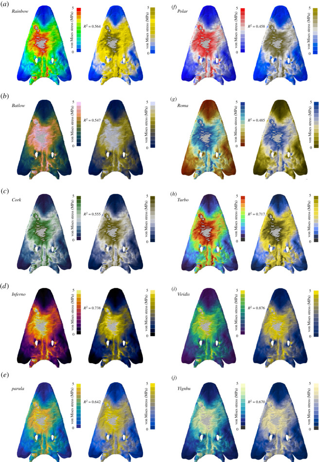 Figure 5. 