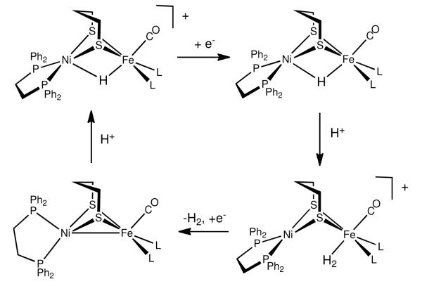 Scheme 3