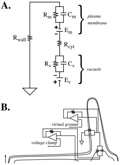 Figure 3.