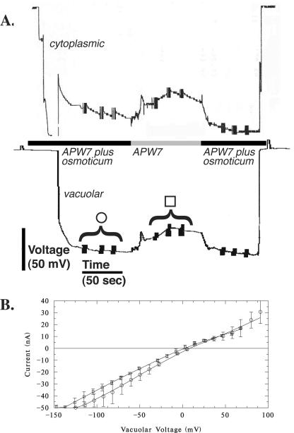 Figure 7.