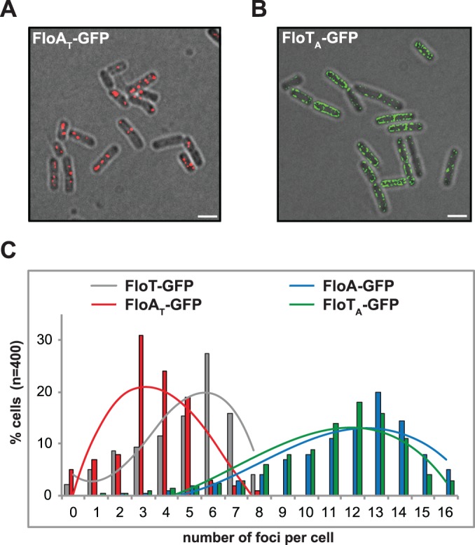 Fig 5