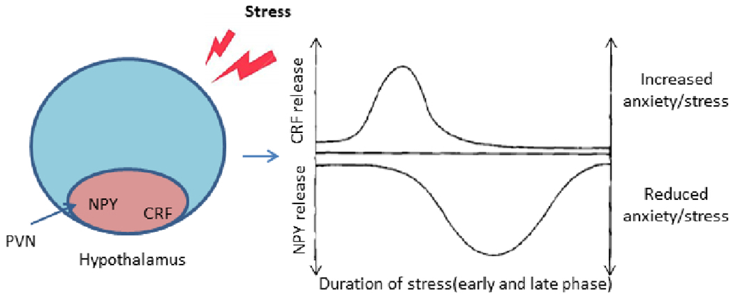 Figure 4: