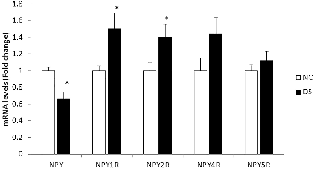 Figure 1: