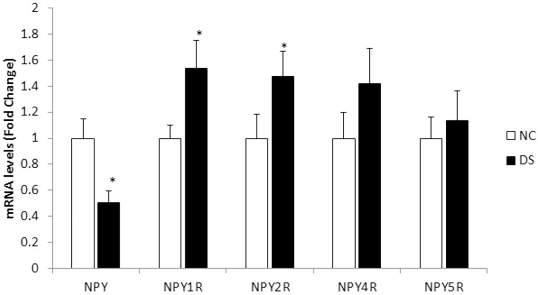 Figure 2: