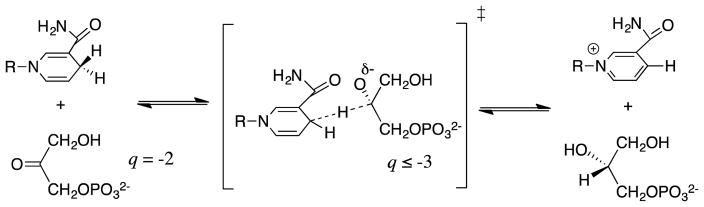 Scheme 5