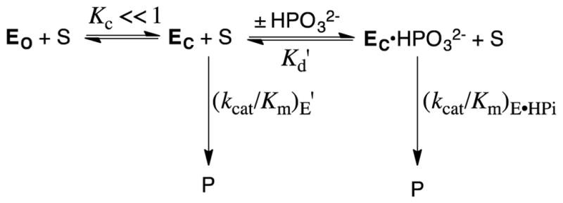 Scheme 3