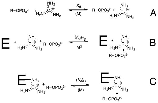 Scheme 7