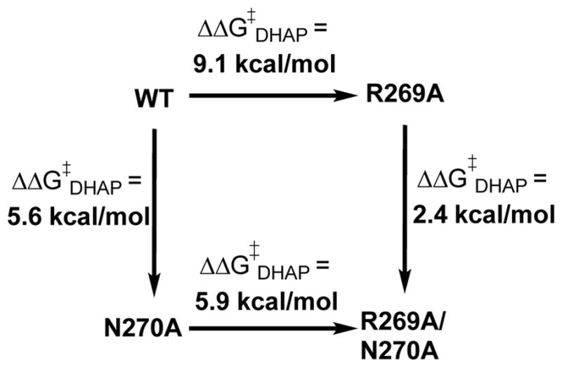 Scheme 6