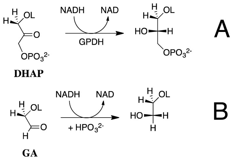 Scheme 2