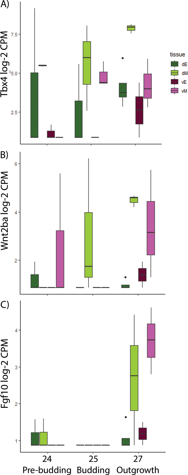 Figure 7: