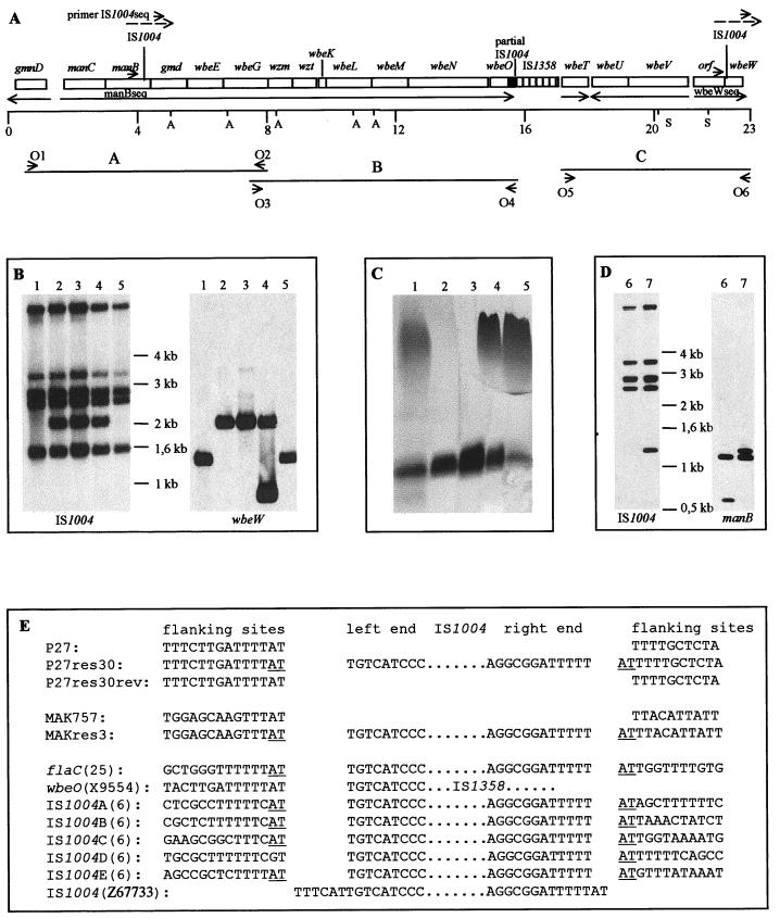 FIG. 3