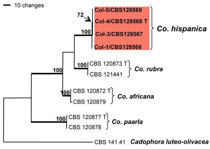 Fig. 2