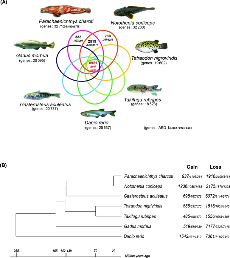 Figure 3: