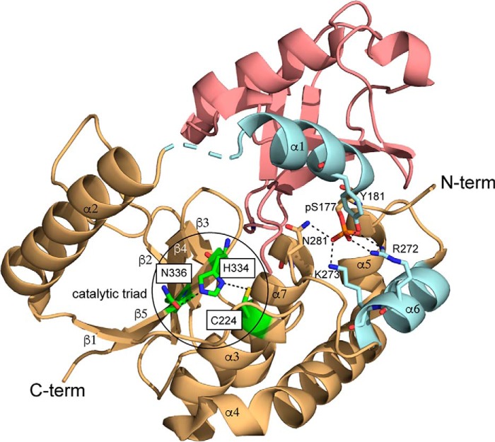 Figure 1.