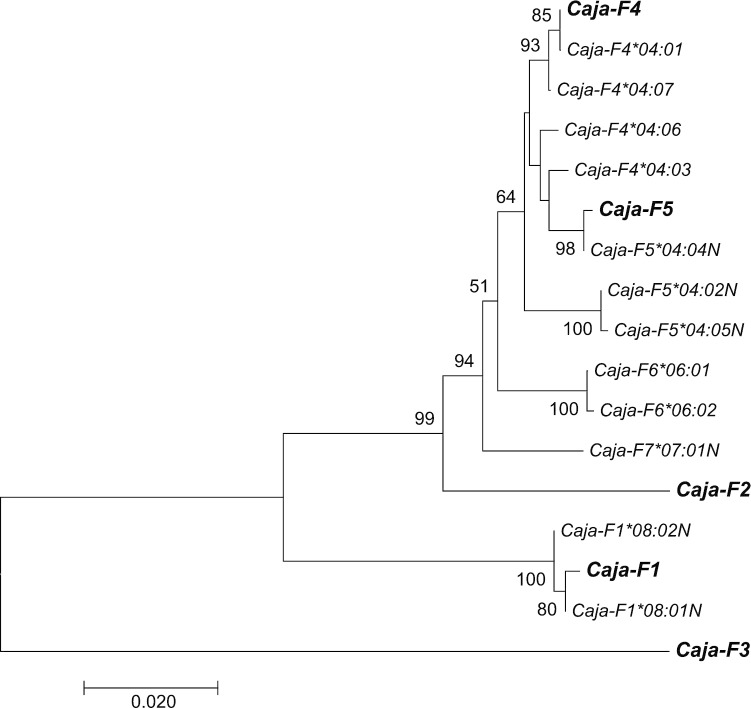 Fig. 3