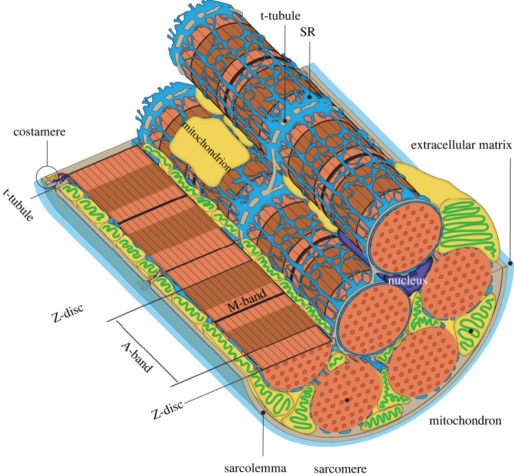 Figure 3. 