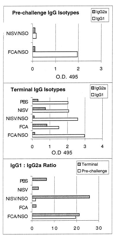 FIG. 5