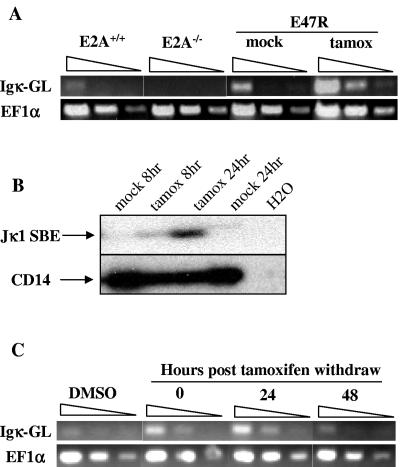 FIG. 2.