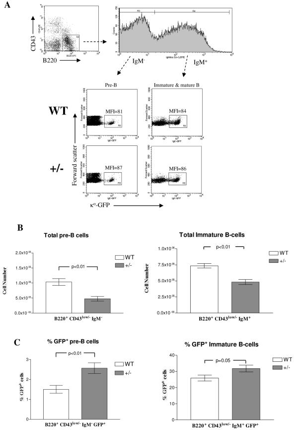 FIG. 7.