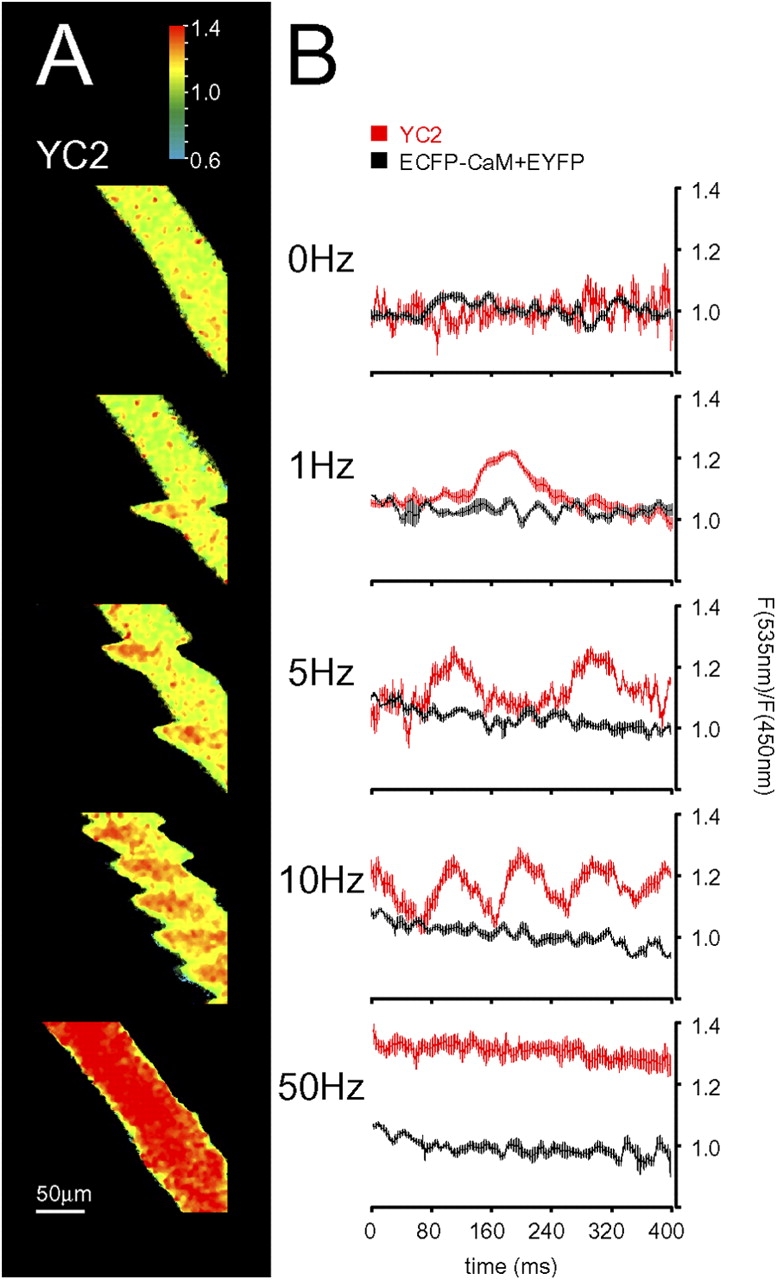 Figure 4.