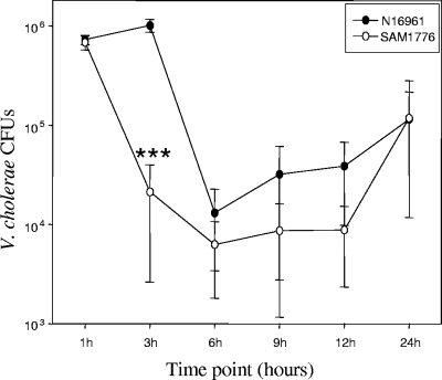 FIG. 5.