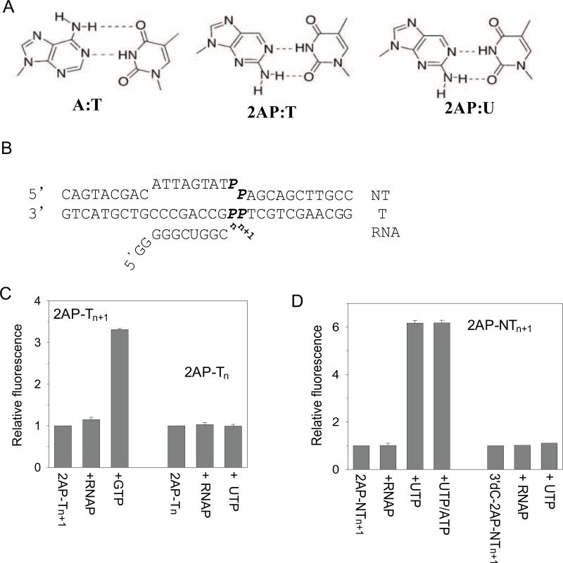 Fig.1