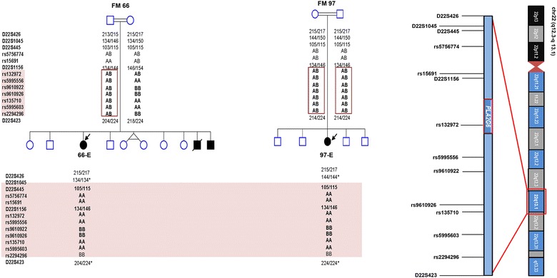 Fig. 2