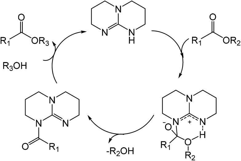 Scheme 2