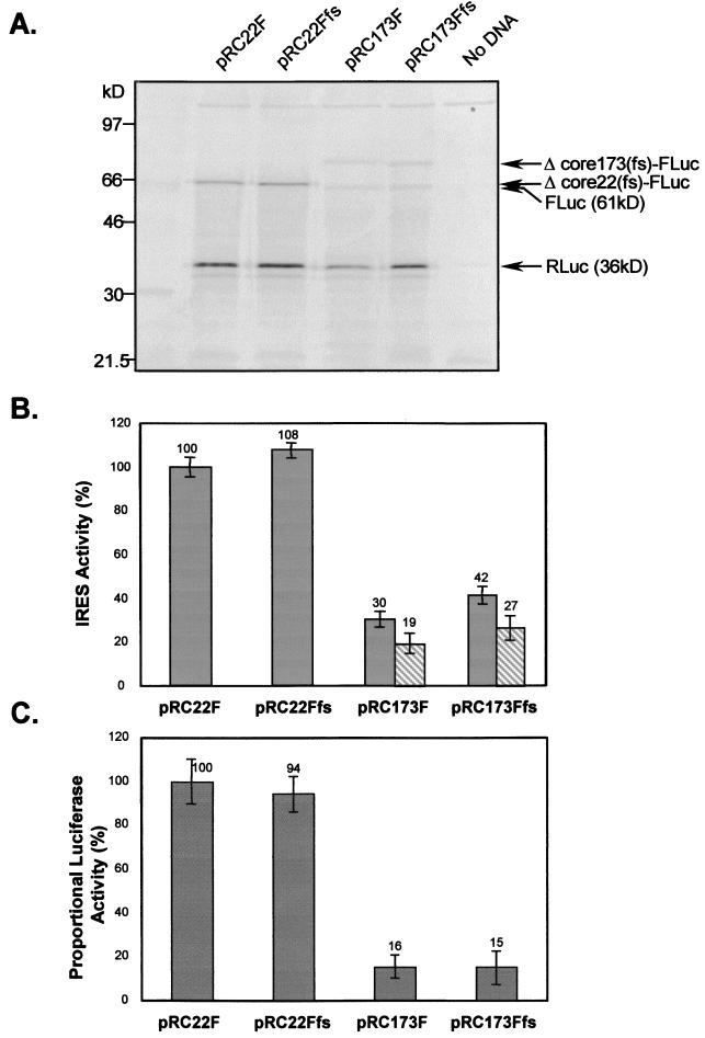 FIG. 3