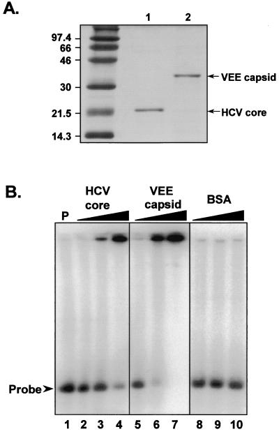 FIG. 7