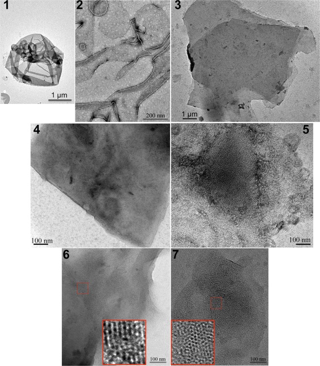 Figure 7