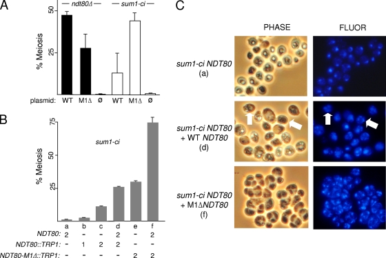 FIG. 6.