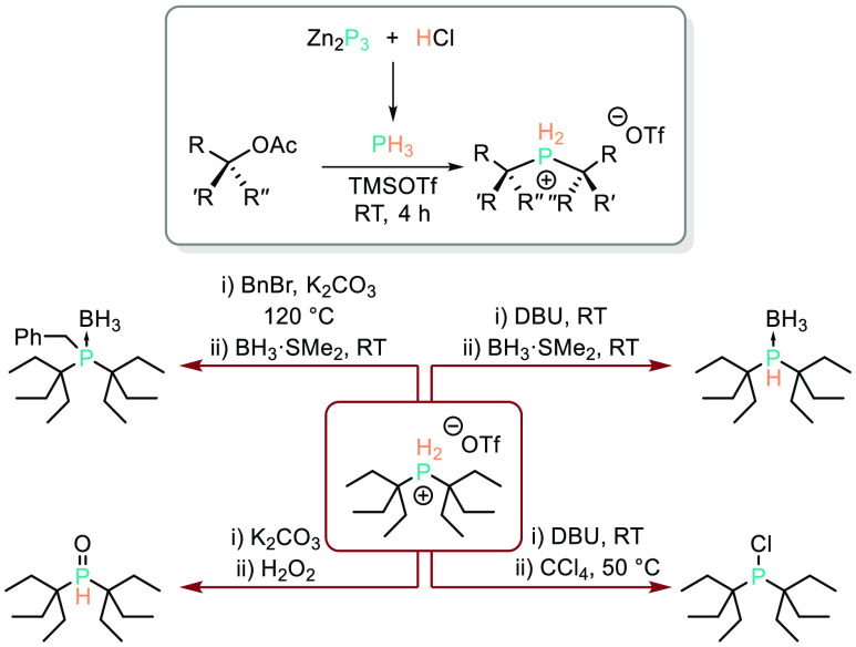 Scheme 12